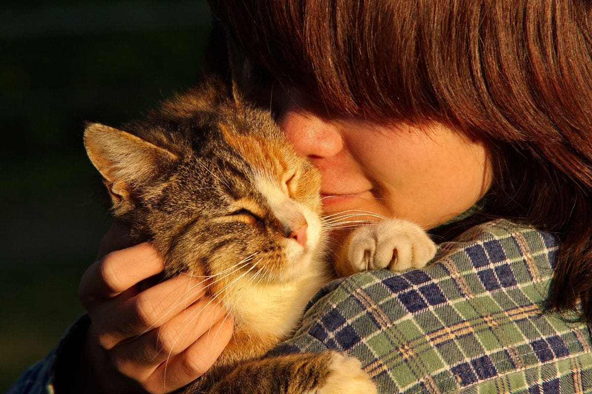 Kid cuddling with pet cat