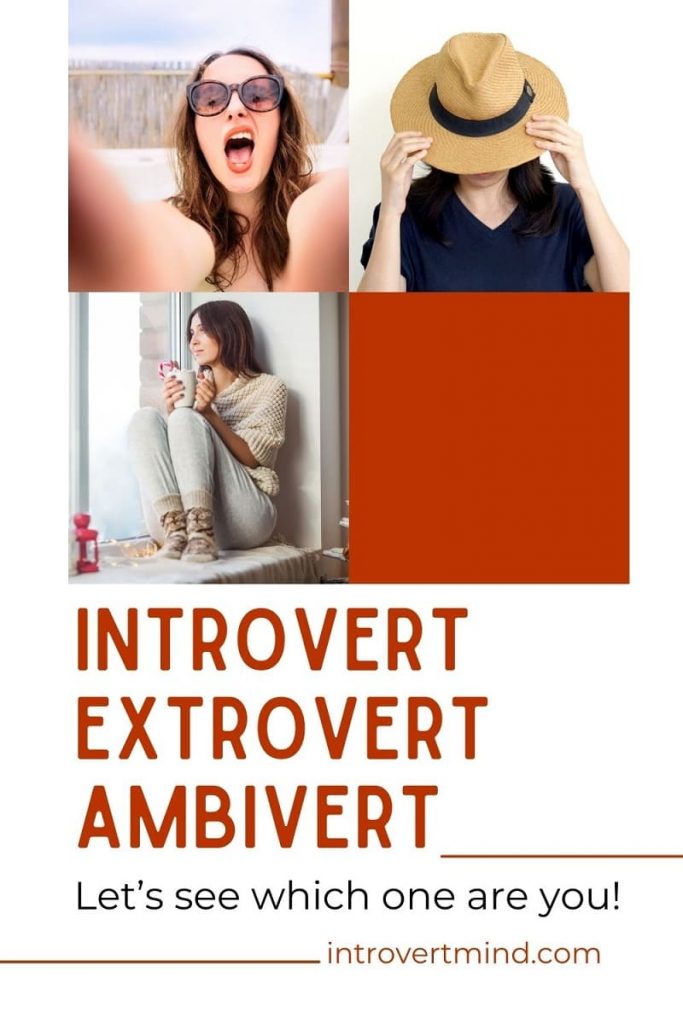 Introvert Extrovert Ambivert pin