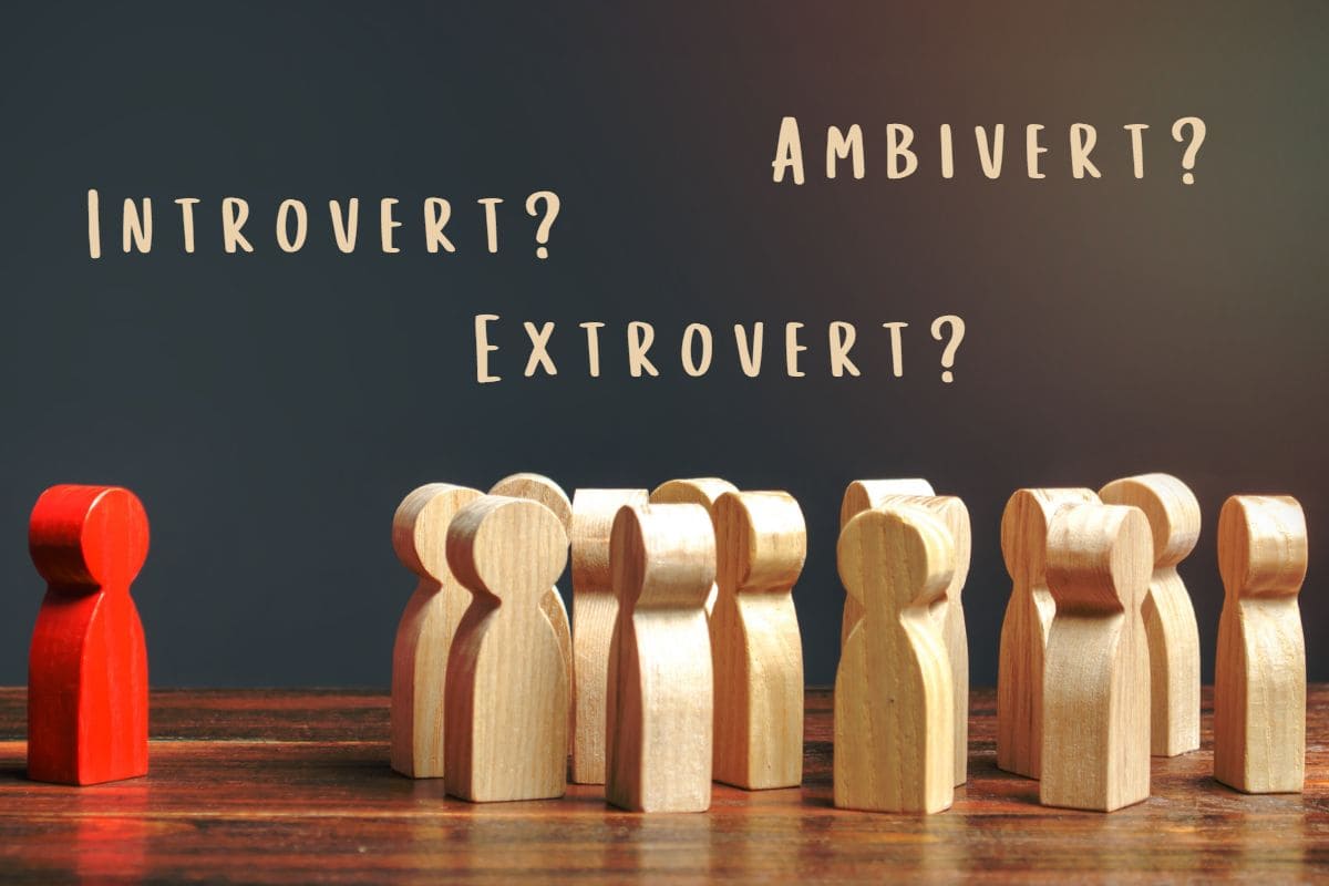 Wooden figures. Introvert Extrovert Ambivert concept.