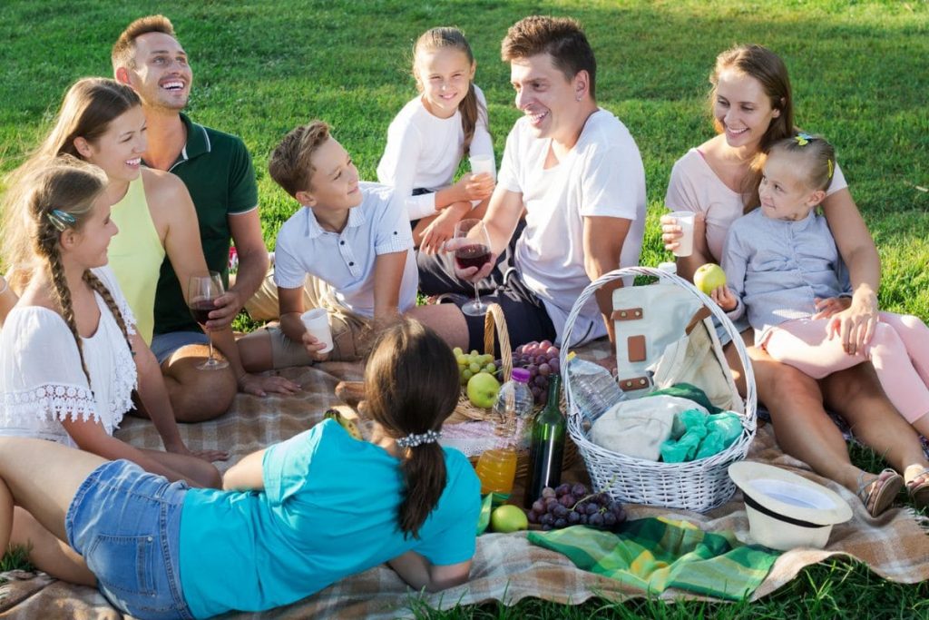 Big family picnic, big family gathering
