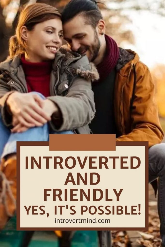 Introverted And Friendly pin