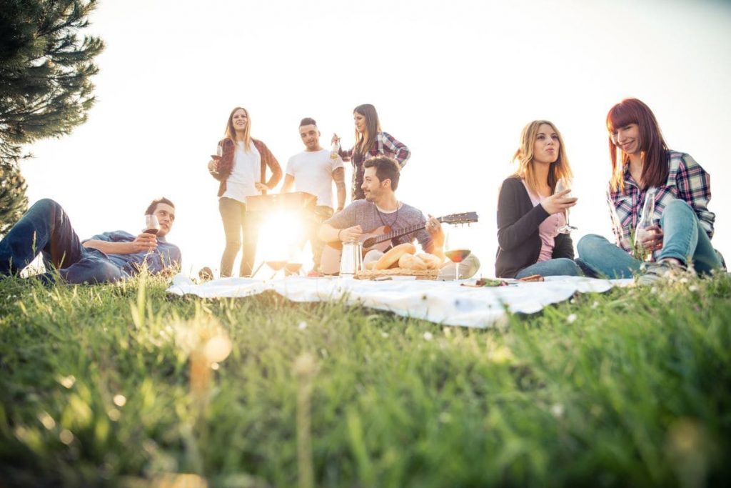 Friends having picnic.