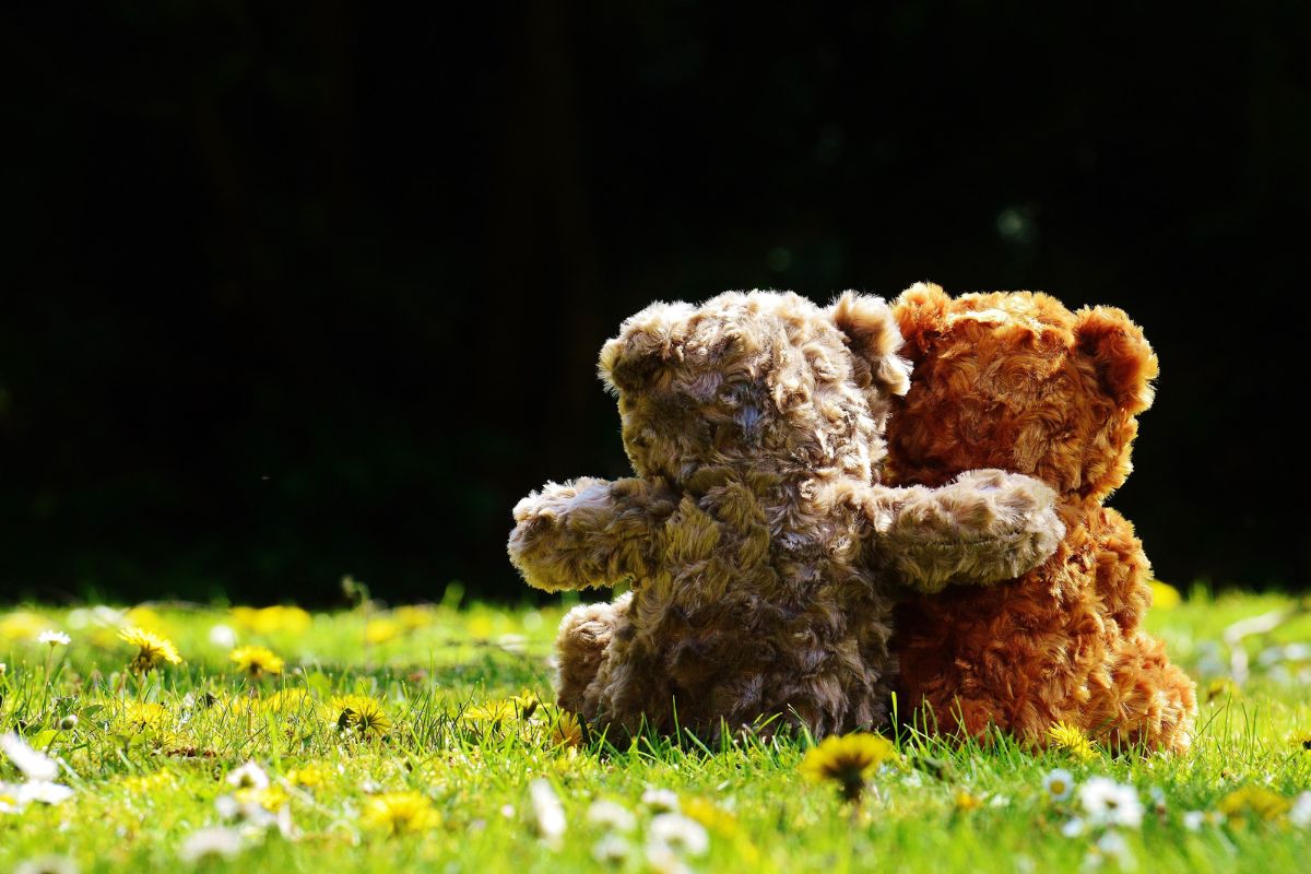 Teddy-bears-on-grass